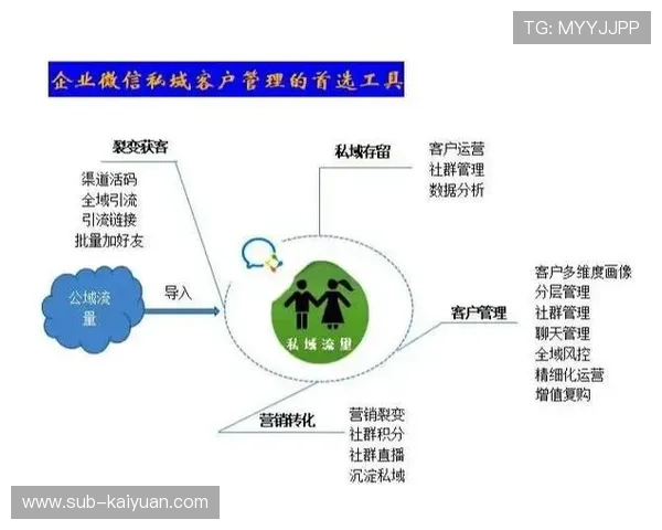 私域流量池运营转化率提升策略与效果分析方法