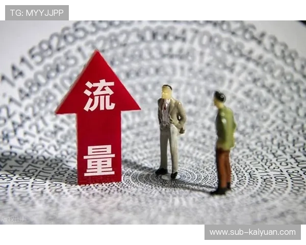 提升网站权重的有效策略与实用技巧解析，助力SEO优化排名增长